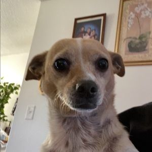 Meet your Posher, Alec